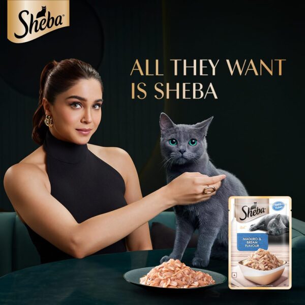 61rOrEwUc-L._SL1000_.jpg Sheba Rich Premium Adult (1+ Years) Wet Cat Food, Maguro & Bream Flavour, 35 g Pouch (Pack of 12), High-moisture wet food for healthy hydration