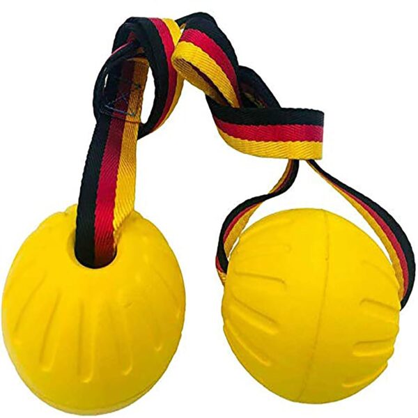 61riVCqtbIL._SL1500_.jpg Ball with Rope, Durable Dog Toys for Large Dogs and Puppies, Interactive Dog Rope Toy for Training and Play Ball for Dental Clean(15.7in)