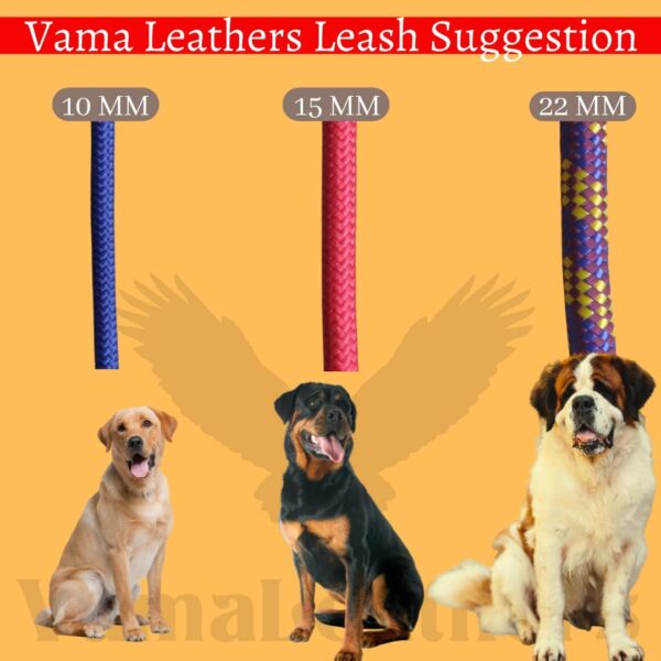 Vama Leathers Dogs British Style Training Leash Slip Leash Adjustable LengthIStrong & Durable Training Show LeashISoft Nylon RopeILeather TrimsIMade In IndiaI5 Feet X 1 CmIBlack