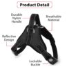 Berlin's Butterfly Dog Harness and Lease with Free Plastic Bowl Comfort, Small Dog Harness Choke Free Adjustable Pet Vest No Pull Outdoor Sport Reflective Soft Padded (Black, Large)