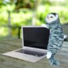 61sF7EmQnpL._SL1500_.jpg Tickles Cat Soft Stuffed Plush Animal Toy for Kids Boys & Girls Birthday Gifts (Size: 30 cm Color: Grey)