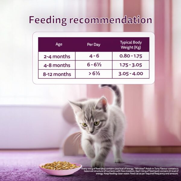 61stVMqQpgL._SL1100_.jpg Whiskas Tasty Mix Kitten (2-12 Months) Wet Cat Food, Chicken, Tuna with Sweet Potato in Gravy, 70 g x 14, 100% Complete & Balanced Nutrition for Kittens