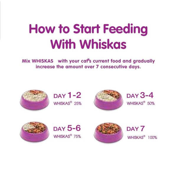 61szJWCni9S._SL1080_.jpg Whiskas Cat Food Junior Tuna, 85 g