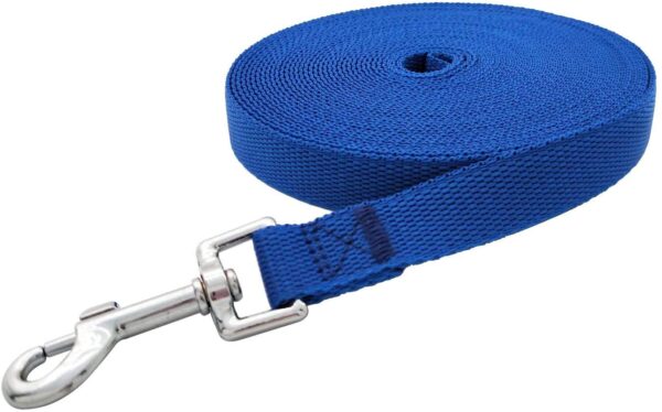 Nylon Dog Training Lead Dog Leash Long Leash15 Ft Long Leash for Dogs (1" Wide) (Blue, 15 Feet)