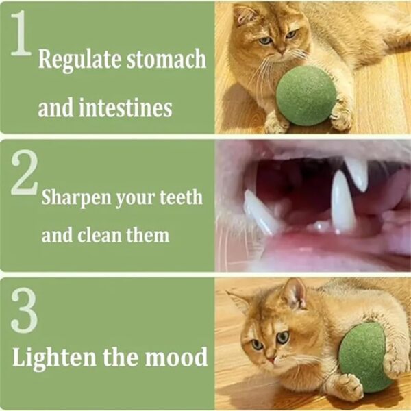Avocado Shaped Cat Toy with Catnip Mint and Silvervine, Flavors, Natural Plant Extracts, Catnip Wall Ball, Safe Healthy Kitten Chew Toys, Cleaning Teeth Cat Toy (Pack of 2)