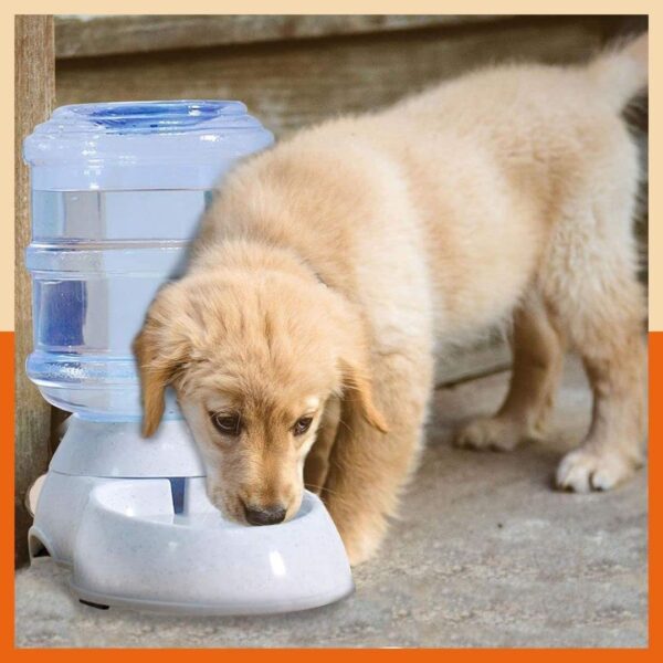 61tcxSCxgnL._SL1080_.jpg GION 3.5 Litter Self-Dispensing Gravity Pet Food Feeder Bowl Water and Food Cat Feeder Bowl and Automatic Water Dispenser Bottle (1Pcs)