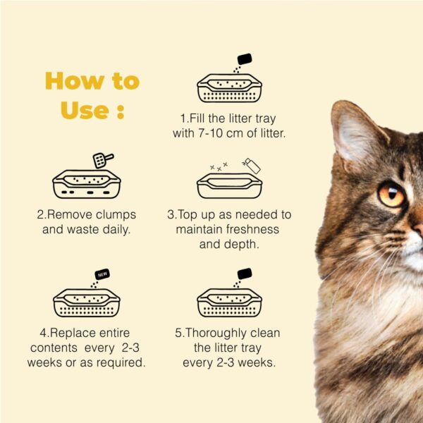 Cat Litter for All Breed Cats Scoopable, Unscented, Clumping - User-Friendly Solution for All Cat Owners New Packaging 10 Kg Bag Pack of 2