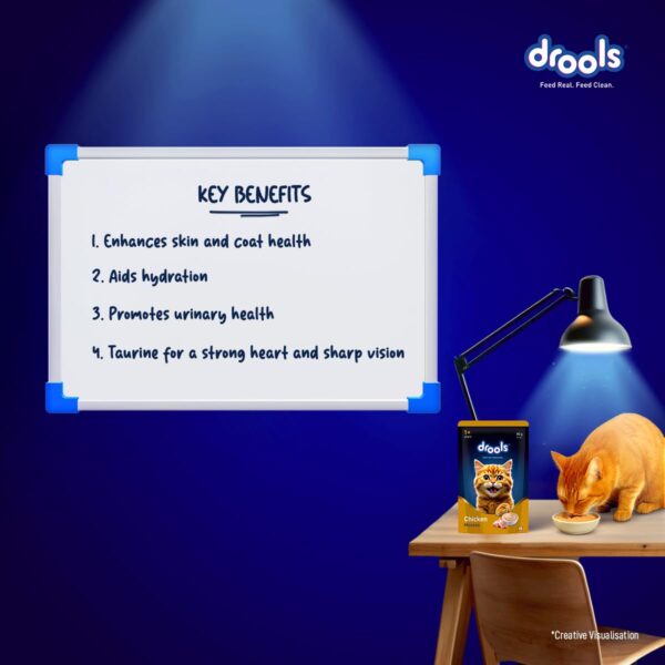 Drools Adult Cat Wet Mousse 80gm | Chicken | Rich in Protein, Promotes Hydration & Easy to Digest | Grain Free, No Artificial Flavours | Packed with Essential Vitamins & Antioxidants