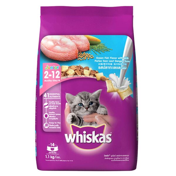 61unmH6bowL._SL1000_.jpg Whiskas Kitten (2-12 Months) Dry Cat Food, Ocean Fish, 1.1kg Pack and Kitten (2-12 Months) Dry Cat Food, Ocean Fish, 450g Pack