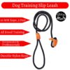 Vama Leathers Dogs British Style Training Leash Slip Leash Adjustable LengthIStrong & Durable Training Show LeashISoft Nylon RopeILeather TrimsIMade In IndiaI5 Feet X 1 CmIBlack
