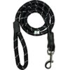 JAPIN Nylon Rope Dog Cord Leash Training Leash for Small to Large Dogs with Heavy Duty Hook (12 MM)