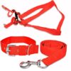 Dog Trust Puppy Dog Collar, Leash and Harness for 3-6 Months Puppies | Collar 12-18 inch, Leash 4.5 feet and Harness with Neck (16inch, Colour May Change)