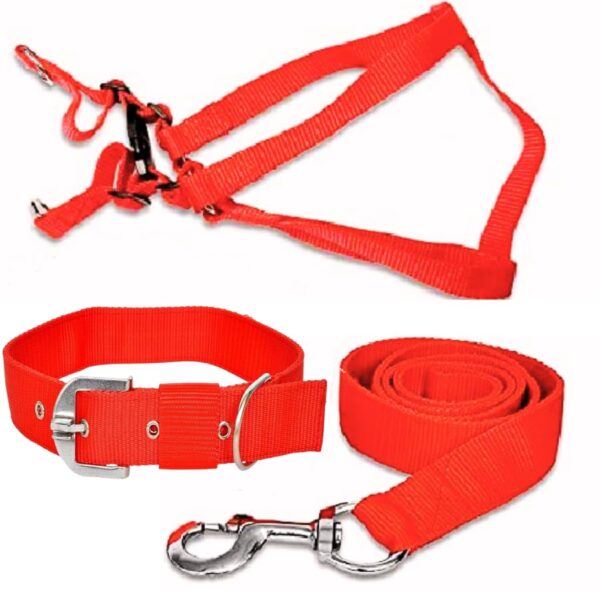 Dog Trust Puppy Dog Collar, Leash and Harness for 3-6 Months Puppies | Collar 12-18 inch, Leash 4.5 feet and Harness with Neck (16inch, Colour May Change)