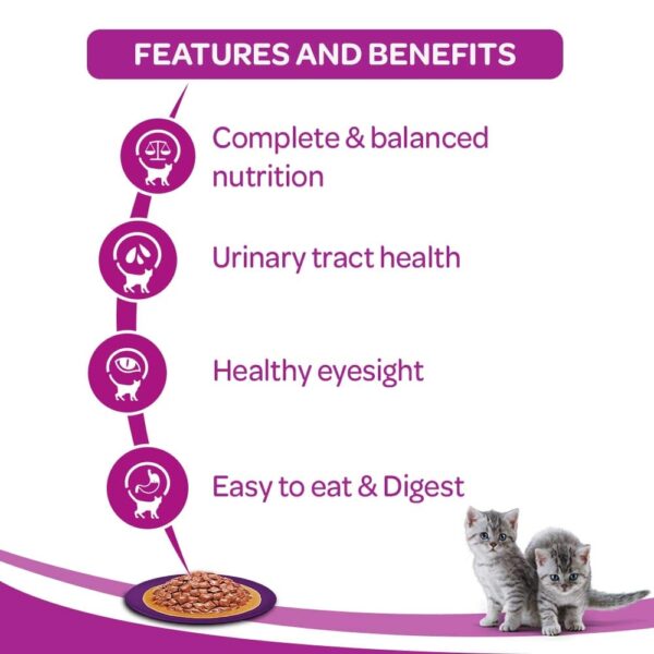 Whiskas Adult (1+ Years), Wet Cat Food, Salmon in Gravy Flavour, 48 Pouches (48 x 85g)