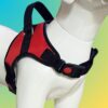 No Pull Dog Body Belt | Adjustable & Soft Padded Dog Harness | for 14-23Kg Dogs - Pomeranian, Beagle, Bulldog (M, Red)