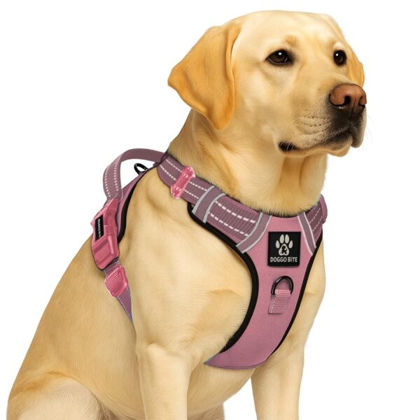 Premium Reflective Dog Vest Harness| Soft Breathable| Padded Handle| Adjustable Straps & Luxury Buckle | Soft Padded Mesh | No Pull | No-Choke | Chest 26-33 inch | All Large Breeds 23-35 Kg