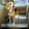 PetWale Colourful Stripes Dog Cat Car Seat Belt | Safe Travel Companion | Built to Last | Adjustable Length Long Lasting | Easy to Hook & Comfortable to Use