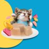 PETS EMPIRE Moochie Tasty Wet Cat Food, Grain Free Cats Gravy Meal (85 g X 12 Pouches) Healthy Growth Tuna Mousse with Chicken, No Artificial Flavours Kitten Food, Non-Vegetarian Cat Foods Pouch