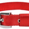 RvPaws Dog Belt Combo of 1 Inch Nylon Collar with Heavy Dog Chain 63 Inch Lengthy Dog Collar Chain (Red)