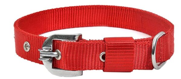 RvPaws Dog Belt Combo of 1 Inch Nylon Collar with Heavy Dog Chain 63 Inch Lengthy Dog Collar Chain (Red)