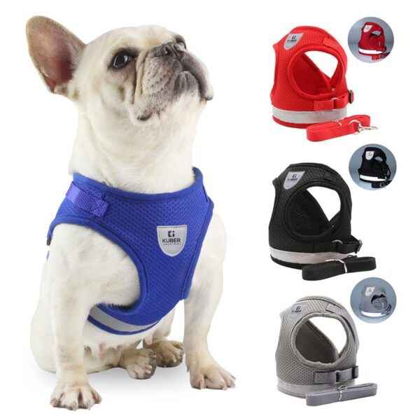 61vZEe8ebL._SL1080_.jpg Kuber Industries Reflective Dog Harness with Adjustable Leash|Breathable Polyester Mesh Fabric |Small Size|HT-844|Comfortable No-Pull Grip|Quick Release Buckles|Easy On - Easy Off Harness|Grey