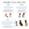Lana Paws Polyester Googly Eyes Durable Fabric Dog Collar Belt For Large Dogs_Pack Of 1, Blue,24X1.5 Inch