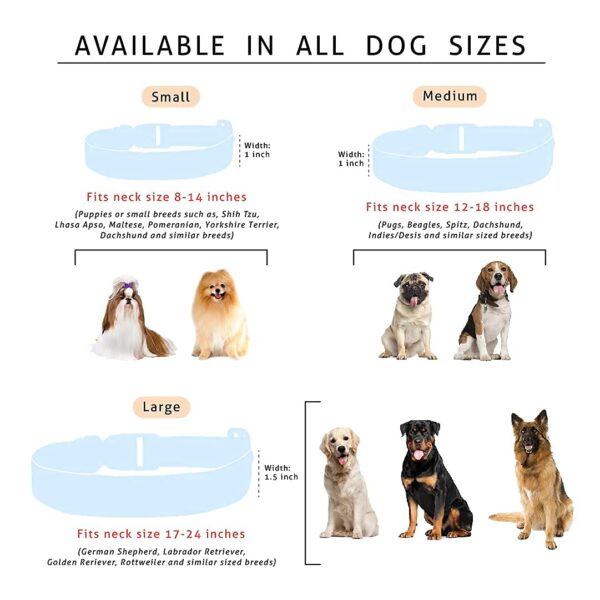 Lana Paws Polyester Googly Eyes Durable Fabric Dog Collar Belt For Large Dogs_Pack Of 1, Blue,24X1.5 Inch