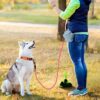 61wLK53mIcL._SL1184_.jpg Heavy Duty 5ft Long Dog Leash with Padded Handle 120 cm Dog Cord Leash for All Dogs, Durable Climbing Soften Rope Leash with Strong Metal Clasp for Night Walking (Pink)