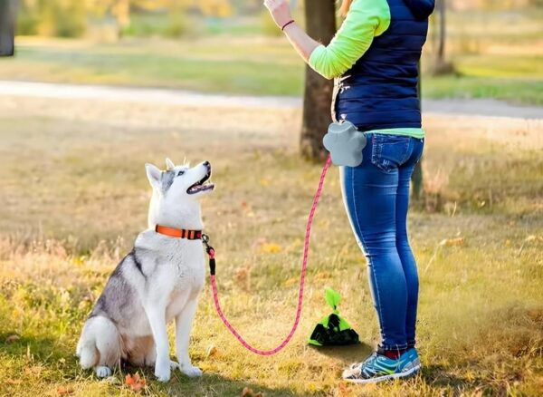 61wLK53mIcL._SL1184_.jpg Heavy Duty 5ft Long Dog Leash with Padded Handle 120 cm Dog Cord Leash for All Dogs, Durable Climbing Soften Rope Leash with Strong Metal Clasp for Night Walking (Pink)