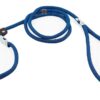 RvPaws Dog Training Leash Slip Leash, Adjustable Length, Strong & Durable Training Show Leash,Soft Nylon Rope I Leather Adjustable, Length 5 Feet X 1 CM - Pack of 1 (Multicolor)