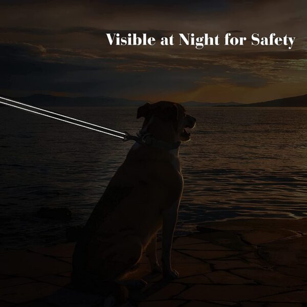 61wfzzMHOiL._SL1500_.jpg HANK Dog Leash | 3M Reflective Leash for Dogs | Heavy Duty Dog Rope for Small to Large Dogs | Comfortable Padded Handle 5 Feet (Nylon - Black, Single Handle - 5 feet)