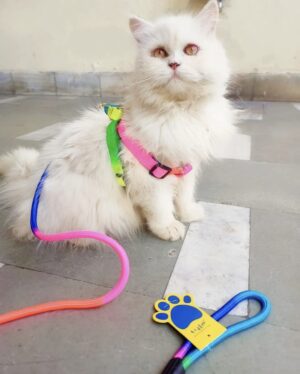 A+a Pets' Harness and Leash Set, Colourful Combo in Rainbow A+a Pets' Harness and Leash Set, Colourful Combo in Rainbow for Cats and Dogs (S, Rainbow)