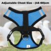 Kuber Industries Dog Chest Harness with Nylon Leash I No Pull, Soft Padded and Breathable Dog Vest I Adjustable, Reflective I Large, Blue