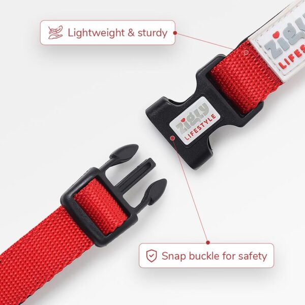 Zigly Lifestyle Classic Adjustable Dog Padded Nylon Neck Collar for Pets - X Small (12Mm) - Red