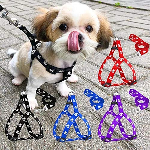 61xzpIxj41L.jpg Woofy Pet Paw Print Nylon Puppy Harness + Leash and Collar Set for Small & Medium Dogs (Black)