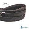 61y49-WshyL._SL1080_.jpg Dog Leash for Large Dogs-Loki-for Big Dogs-with Padded Handle-5 Ft Long 1 inch Wide