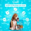 61yYq824wlL._SL1080_.jpg Himalayan Yak Stick Dog Treat | 100% Natural Vegetarian Yak Cheese Chew | Protein & Calcium-Rich Dental Hygiene Snack | Long-Lasting Chew for All Breeds & Life Stages