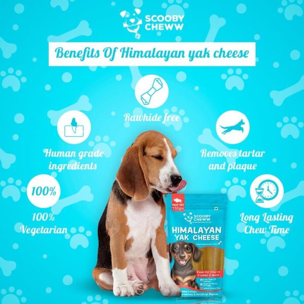 61yYq824wlL._SL1080_.jpg Himalayan Yak Stick Dog Treat | 100% Natural Vegetarian Yak Cheese Chew | Protein & Calcium-Rich Dental Hygiene Snack | Long-Lasting Chew for All Breeds & Life Stages