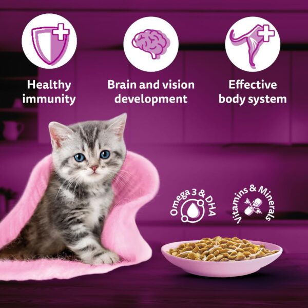 61ybSFA7mjL._SL1100_.jpg Whiskas Tasty Mix Kitten (2-12 Months) Wet Cat Food, Chicken, Tuna with Sweet Potato in Gravy, 70 g x 14, 100% Complete & Balanced Nutrition for Kittens