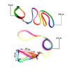 Sage Square No Pull Dog Harness and Leash Set, No Chock Puppy Step in Vest Harness Nylon Lightweight Neck&Chest Adjustable for Dogs Girls and Boy, Pet Harness for Small Medium Dogs (Rainbow Coloured)