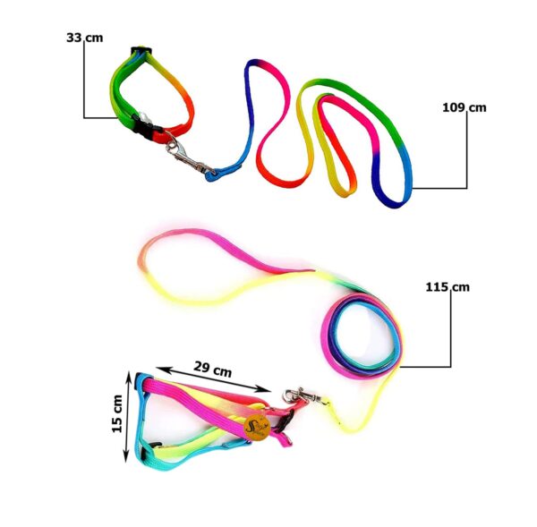 Sage Square No Pull Dog Harness and Leash Set, No Chock Puppy Step in Vest Harness Nylon Lightweight Neck&Chest Adjustable for Dogs Girls and Boy, Pet Harness for Small Medium Dogs (Rainbow Coloured)