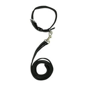 Dog Leash And Collar Combo Set|Highly Reflective|Dog Rope For Small, Dog Leash And Collar Combo Set|Highly Reflective|Dog Rope For Small, Medium & Large Dogs|(Size- Leash 4.8 Ft. + Collar (Medium, Black),146 cm