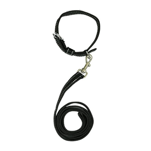 Dog Leash And Collar Combo Set|Highly Reflective|Dog Rope For Small, Dog Leash And Collar Combo Set|Highly Reflective|Dog Rope For Small, Medium & Large Dogs|(Size- Leash 4.8 Ft. + Collar (Medium, Black),146 cm