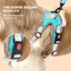 61z6gBVZ5fL._SL1080_.jpg Premium Reflective Vest Dog Harness | Soft Breathable Mesh and Oxford Nylon Fabric | Padded Control Handle with No Pull Front & Back Clip | Adjustable Strap & Dual Lock Buckle (Small, Sea Green)