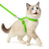 Buraq Basic Full Body Cat Harness with Leash Set for Walking | Escape Proof | Adjustable & Durable for Cats (Green)