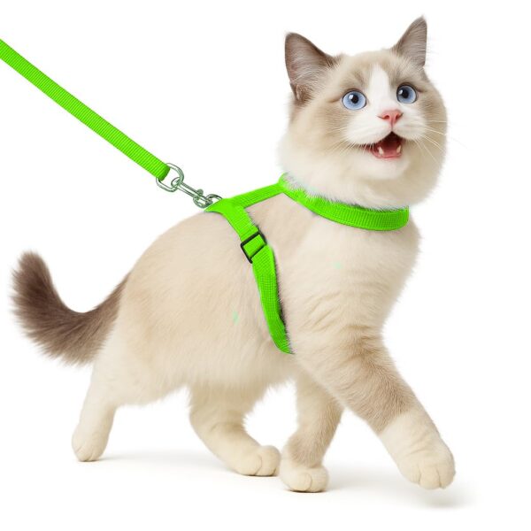 Buraq Basic Full Body Cat Harness with Leash Set for Walking | Escape Proof | Adjustable & Durable for Cats (Green)
