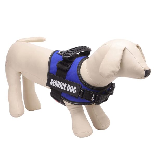 Lulala Service Dog Harness, Large Medium Small Dog No-Pull Reflective Vest,Breathable Adjustable Pet Harness with Piastic Handle for Outdoor Walking -with On Off Locker(Blue L)