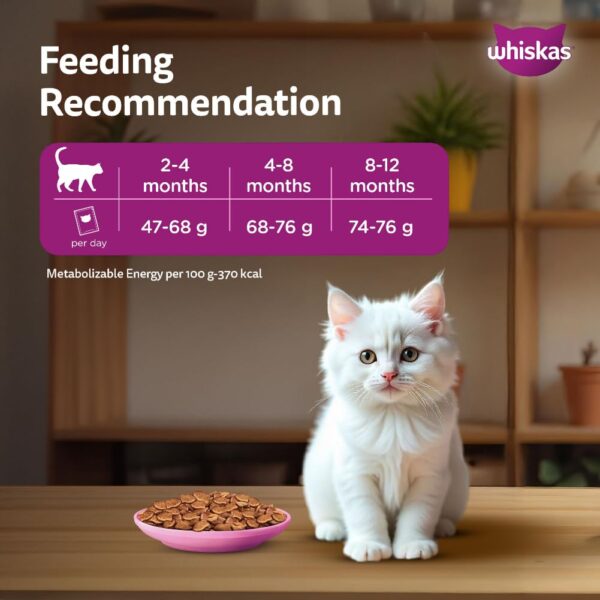 61zyuCgwlDL._SL1001_.jpg Whiskas Persian Kitten (2-12 Months) Dry Cat Food, 1.1kg, 100% Complete & Balanced Tailor Made Nutrition, Reduces Hairfall, for Healthy Coat & Skin