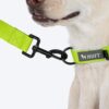 71390j0ML._SL1500_.jpg HUFT Basics Leash for Dogs - Neon Green (M/L)
