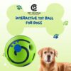 71A2xPd9ML._SL1500_.jpg Interactive Toy Ball for Dogs Bouncing Giggle Ball Chew Ball for Aggressive Dogs Molar Dog Ball Self Moving Dog Toys Green Fun Ball for Medium and Large Dogs Pet Supplies – 5.5”x 5.5”